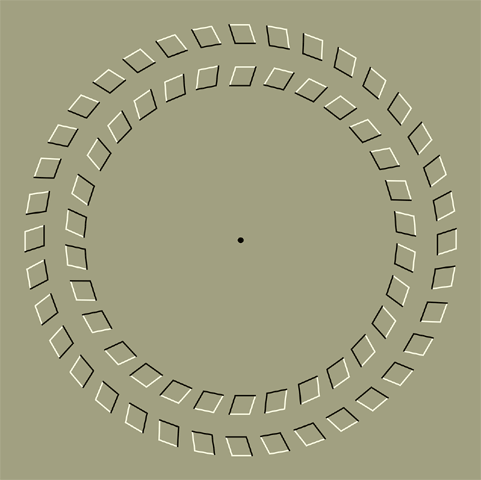 Rotating Circles
