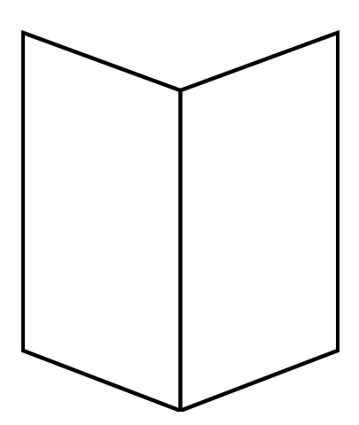 Book Illusion?