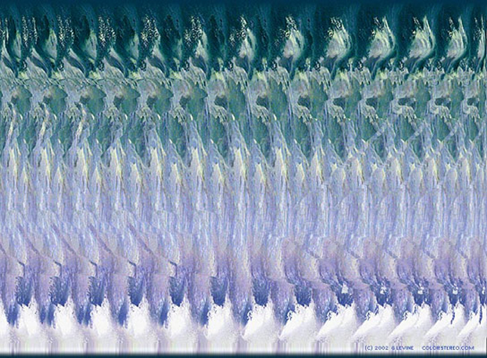 Dolphins Stereogram