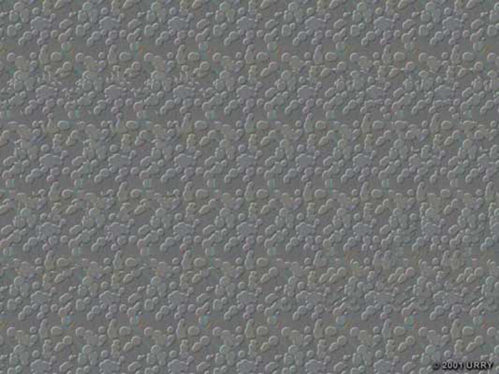 Fish Stereogram