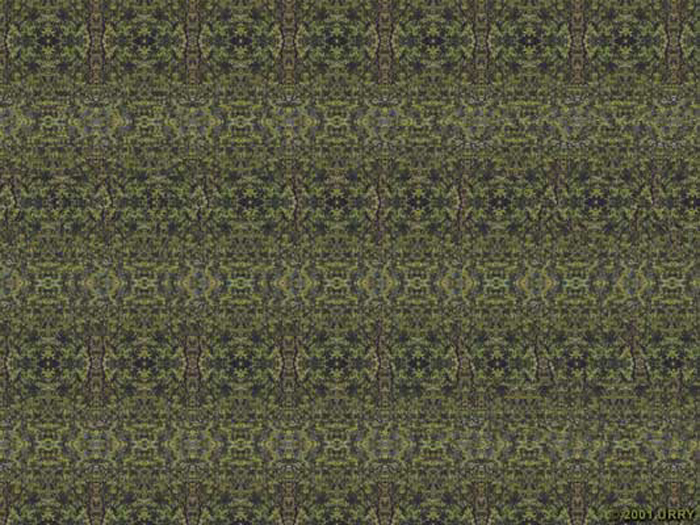 Helicopter Stereogram