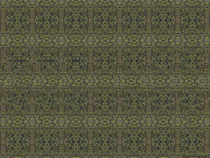 Ant Stereogram