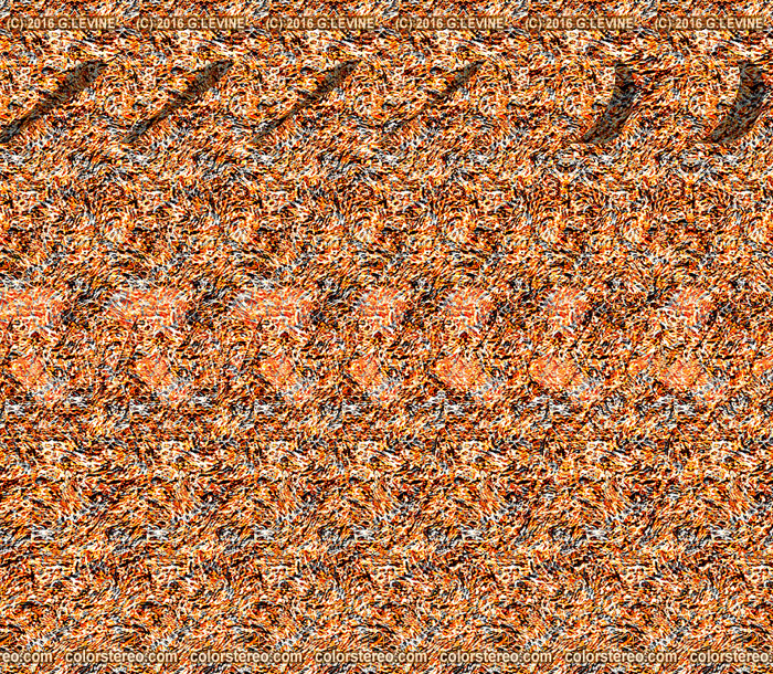 Hand Stereogram