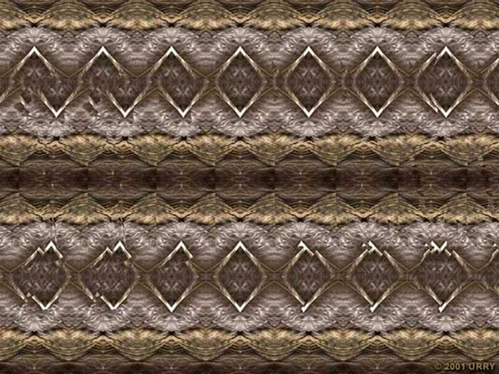 Dog Stereogram