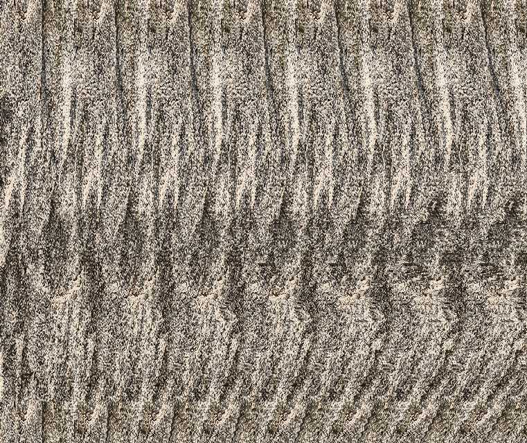 Ant Stereogram