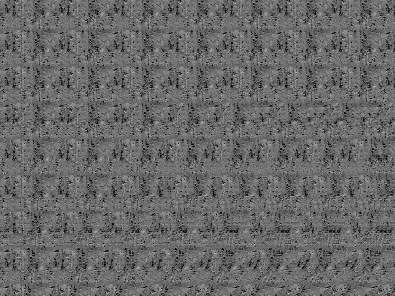 Elephants Stereogram