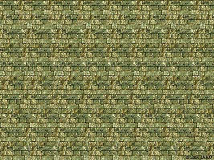 Face Stereogram