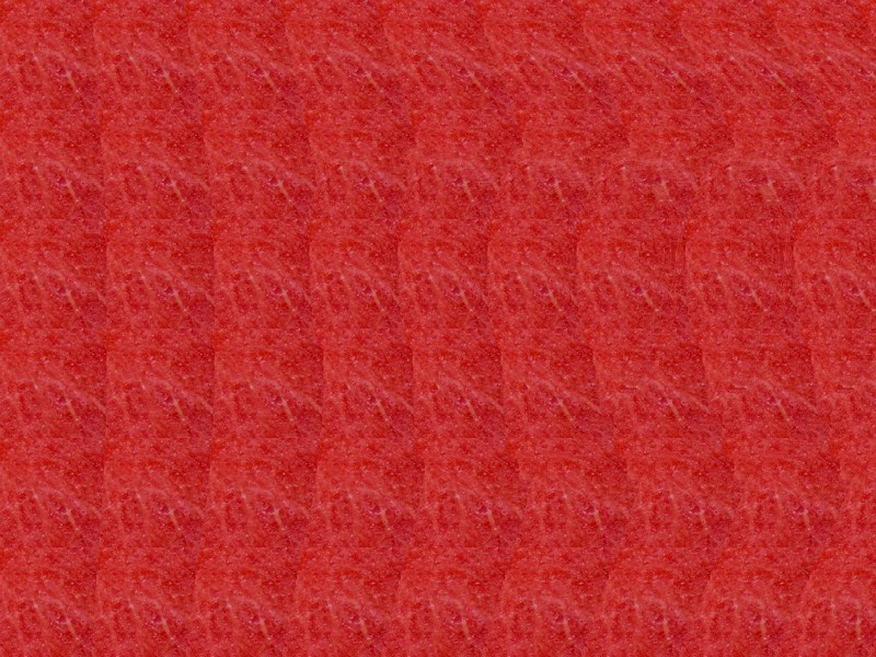 Heart Stereogram